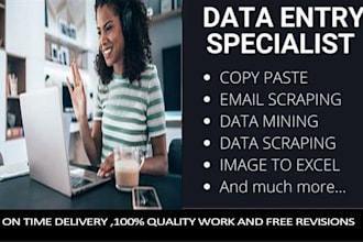 do excel data entry  copypaste and email scraping