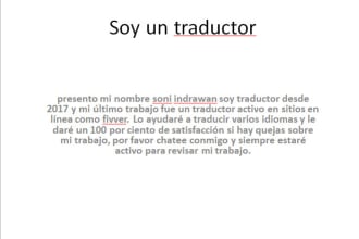 an expert in the field of foreign language translators