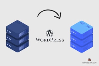 transfer your website in 24 hours