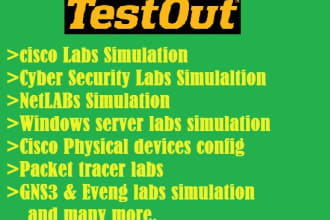 assist in testout labs,cyber security labs, cisco simulation