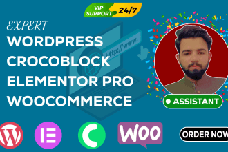 be your wordpress elementor online tutor, consultant, assistant, VA