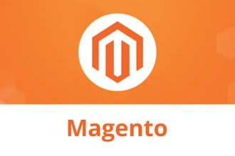 do magento 2 development and customization