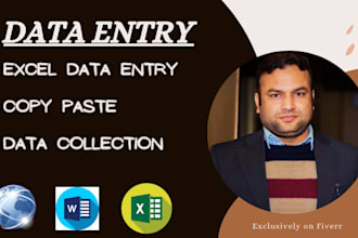 do accurate data entry, excel data entry job and copy paste
