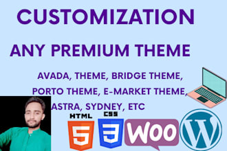 do avada theme and any premium wordpress theme customization