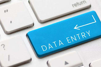 do excel data enter   work