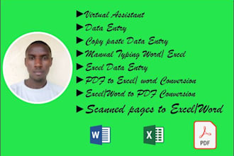 do data entry, excel data entry, copy paste, file conversion