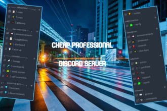 create a professional looking discord server within 24 hours
