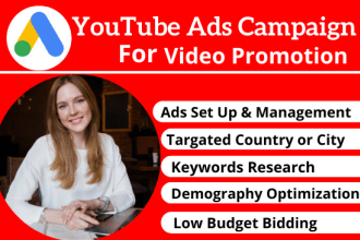 set up youtube ads campaign for video boost