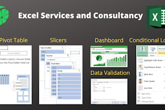 provide data analytics services in excel