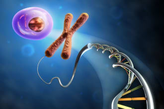 assist in biotechnology ,cancer biology related tasks