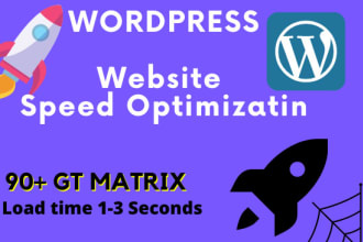 do wordpress speed optimization for google page speed