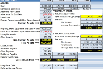 prepare your financial statements with 22 financial ratios