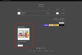 fix your shopify liquid error and bugs any other issues