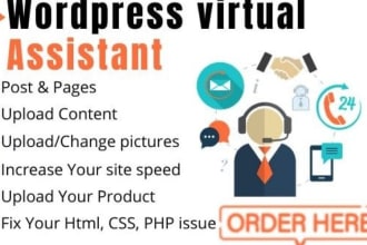 be your virtual assistant for wordpress technical, nontechnical tasks