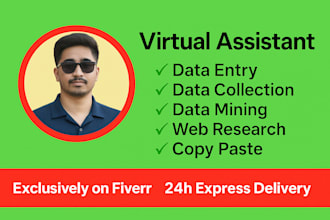 do data entry, web research,copy paste and excel data entry