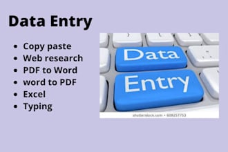 do data entry, copy paste, web research and excel data entry