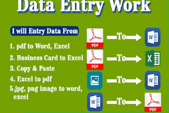 do perfect data entry, web research and copy paste