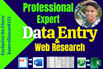 do perfect data entry, web research, and copy past
