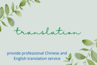 provide professional chinese and english translation service