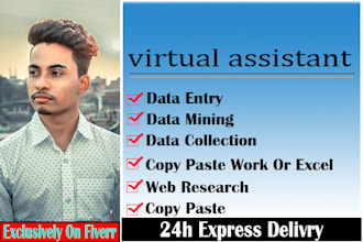 data entry, copy paste, web research and excel data entry