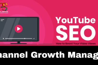 your youtube channel manager and video SEO expert
