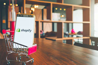 dramatically increase your shopify store website speedto get an erotic speed