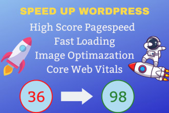 high wordpress speed up website optimization with google page speed insights