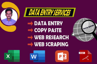 do data entry, copy paste, web research and product listing