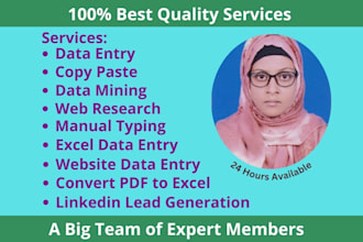 implement fastest data entry, copy paste, typing, web research, excel data entry