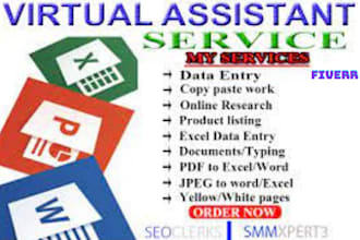 do web research, copy paste and data entry