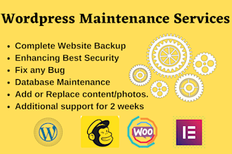 do monthly wordpress website maintenance, support, help, and updates
