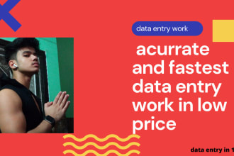accurate and fastest data entry  typing work in low price