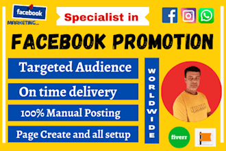 professional facebook promotion services await