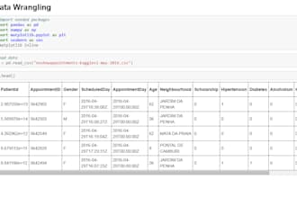 analyse your data professionally using python and excel