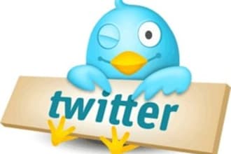 tweet your message to 10,000 Twitter Followers
