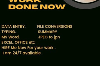 data entry, copy paste, file conversion, ms word