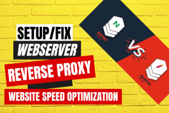 setup nginx reverse proxy