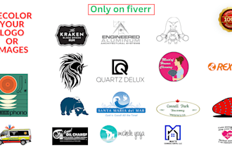 recolor,edit,change,modify or vectorize your logo or images