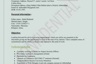 make simple cv designs for you