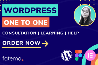 do 1 on 1 elementor wordpress website consultation or help, learn, tutor session