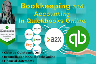organize, bookkeeping, clean up and reconcile your quickbooks online account