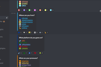 professionally setup discord servers and modify existing servers for you
