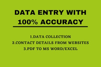 do professional data entry work in one day