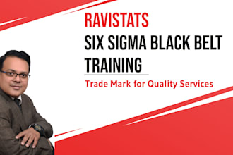 provide you with six sigma black belt training