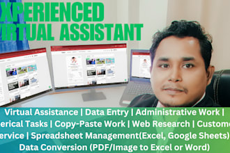 do data entry, typing, ms excel works, formatting and copy paste