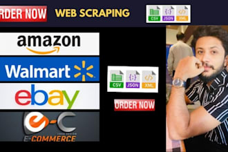build amazon, walmart, ebay, yellowpages scrape for data scraping, web scraping