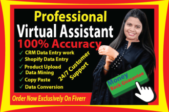 be your virtual assistant for data entry, data mining, and data collection