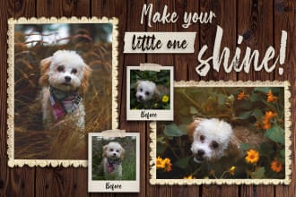 edit your pet photos in photoshop