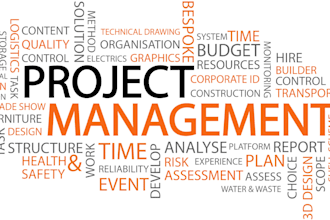 manage projects, mostly technological projects