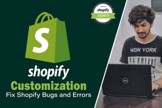 do shopify bug fix, shopify error fix, troubleshooting